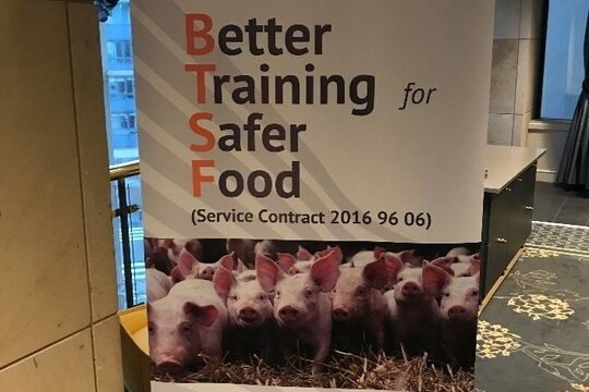 102369-CIFEA-Lorca-Suecia