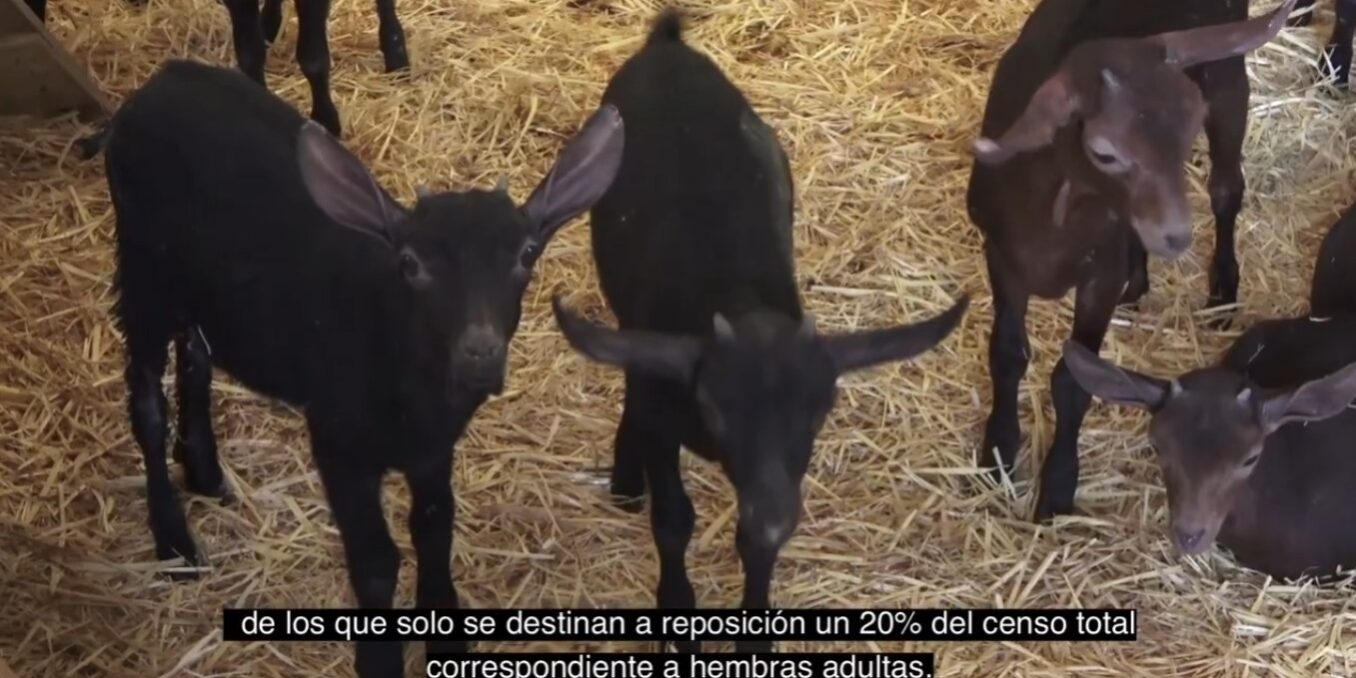 Captura de pantalla 2023-01-20 140509