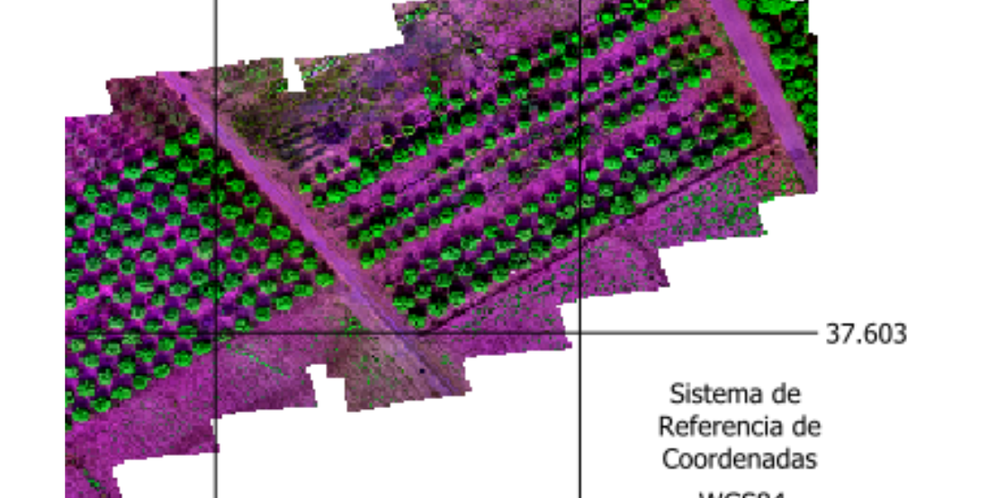 Captura de pantalla 2024-06-10 093014