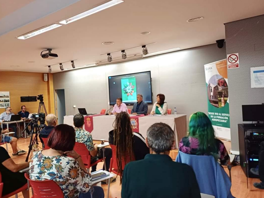 Captura de pantalla 2024-12-17 173927